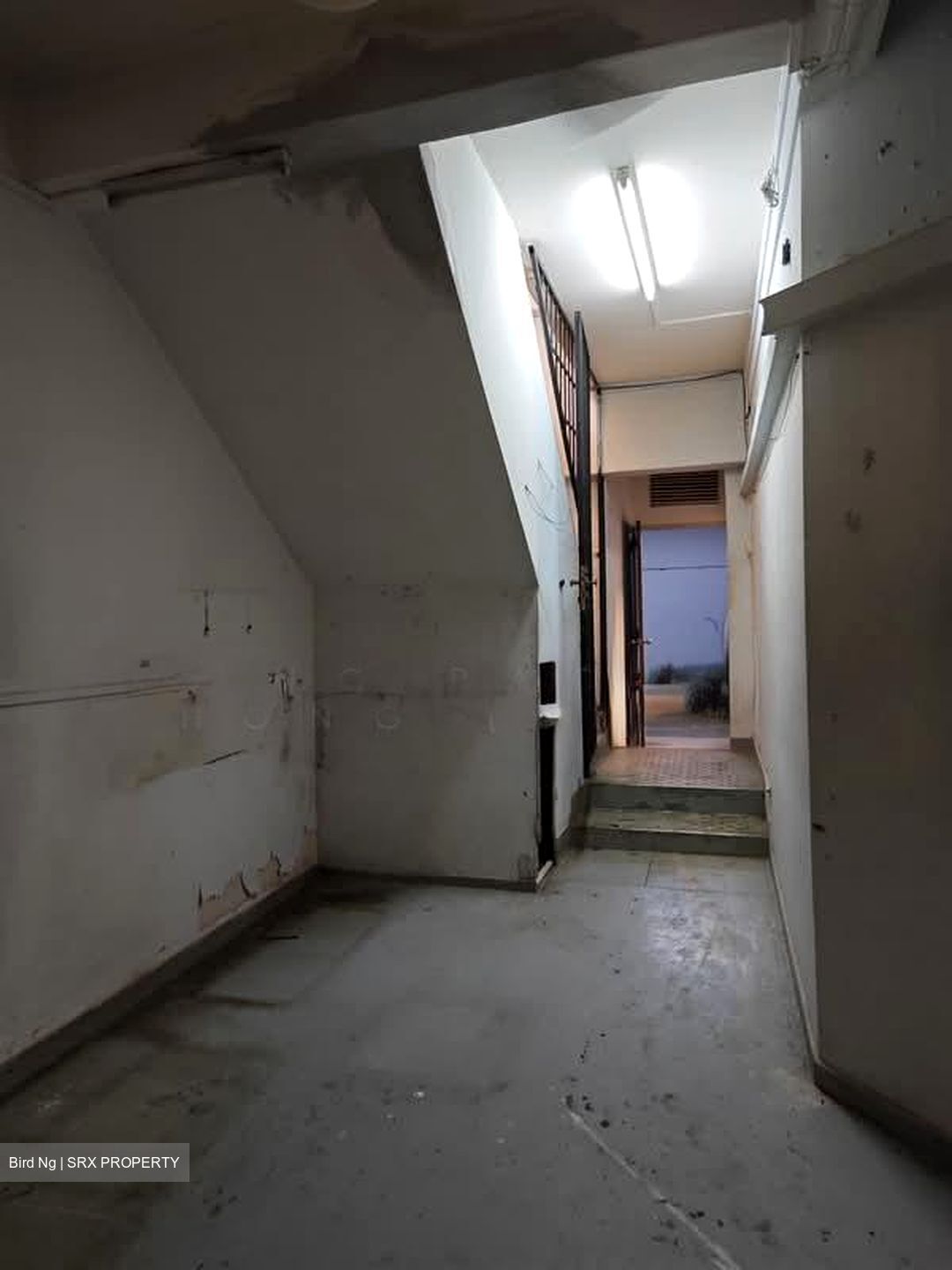 Upper Serangoon Road (D19), Shop House #582274091